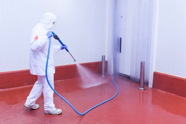 Best Building Exterior Washing  in Waynesburg, PA