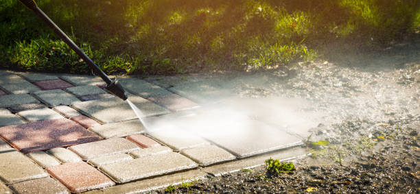 Best Driveway Pressure Washing  in Waynesburg, PA